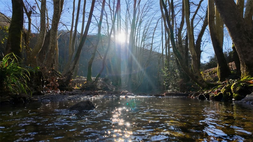 Derince Çınarlıdere Havzası içme suyu havzası ilan edildi