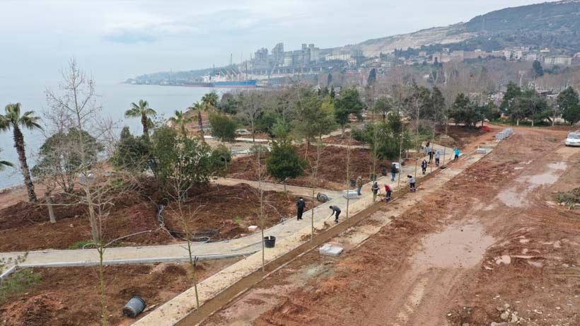 Hereke Sahili’ne palmiyeler dikildi