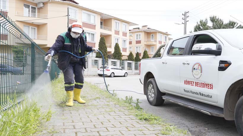 Körfez’de yabani otlara müdahale