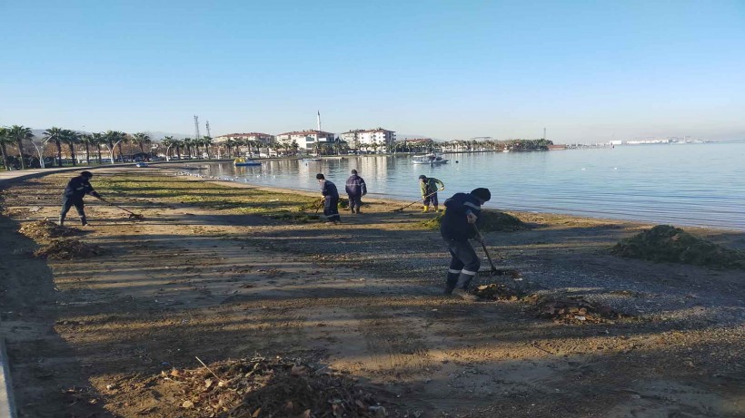 Lodosun ardından hummalı temizlik; Sahillerden 100 kamyon atık toplandı