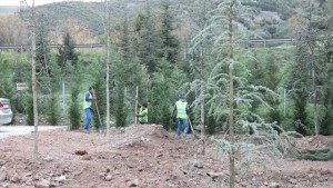 Başkan Söğüt, “Yeşil alanlarımızı çoğaltıyoruz”