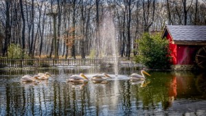 Bayramda kapınız doğaya açılsın