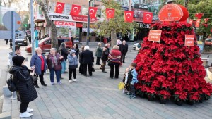 Büyükşehir’den 10 Kasım’a özel 1087 Atatürk çiçeği