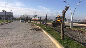 Gölcük Kavaklı Sahil Caddesi’nin çehresi değişecek