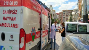 İzmit Belediyesi Hayvan Ambulansı yaralı güvercine kanat oldu