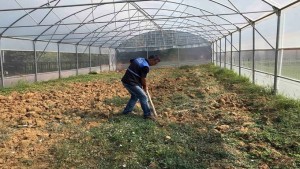 Kocaeli’de ‘’özel bireyler’’ serada sebze yetiştirerek rehabilite ediliyor