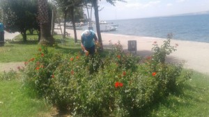 Sahildeki parklar sürekli bakımdan geçiyor