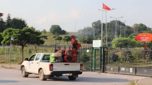 Sinekle mücadele aralıksız sürüyor