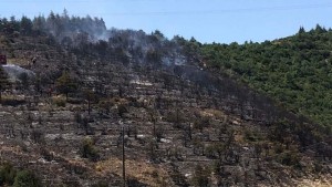 Yenikent'te 20 dönüm ormanlık alan yandı
