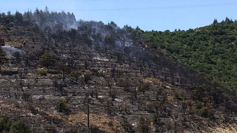 Yenikentte 20 dönüm ormanlık alan yandı