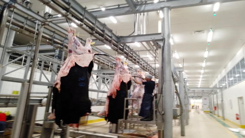 Büyükşehir Mezbahası’nda kurban kesim işlemi tamam