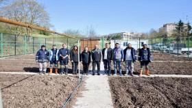 Körfez’de ata tohumu üretilecek